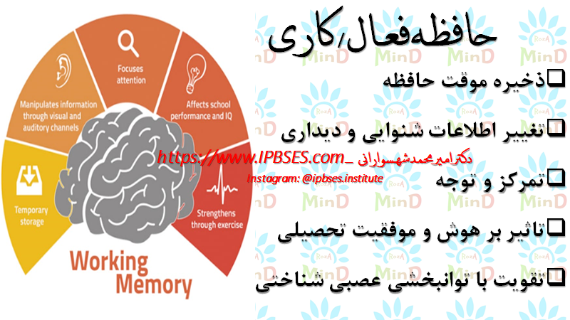 image.png.369a1a3fa9531f585e0a193cdddcc5c7.png